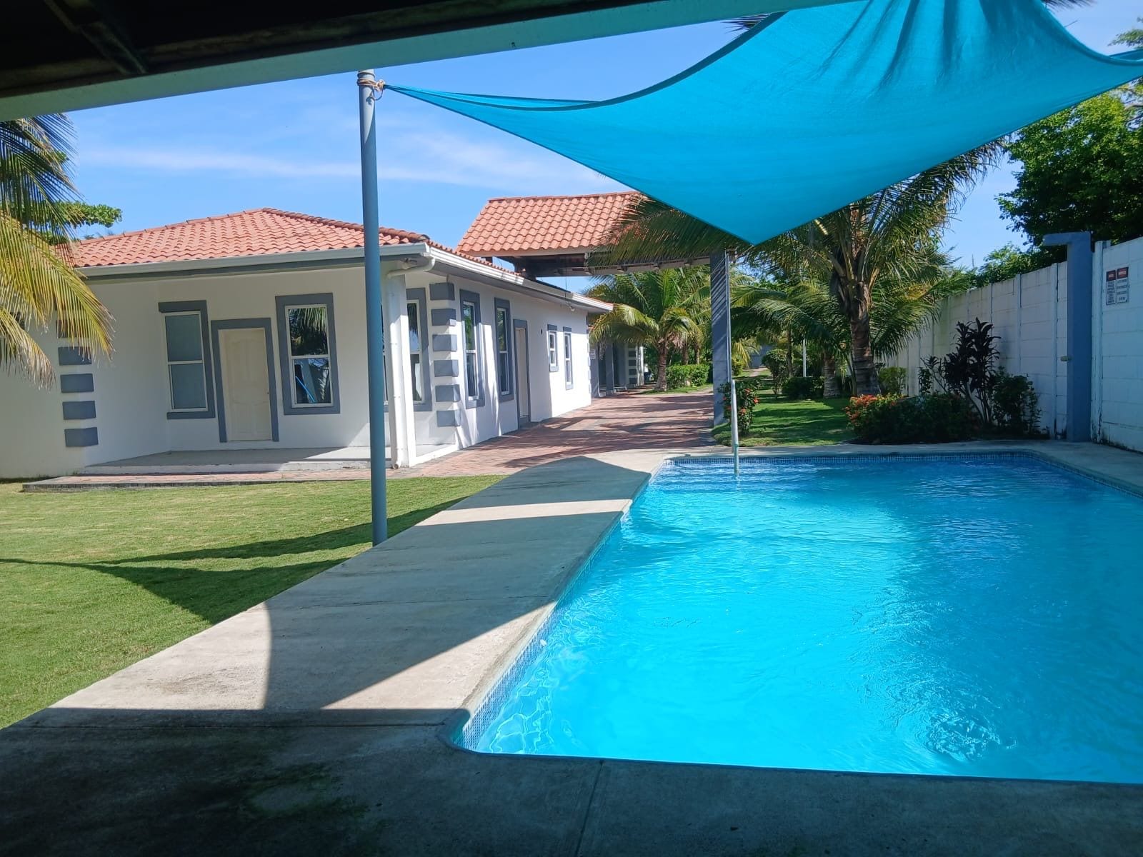 A swimming pool with a clear blue water surface, surrounded by a concrete deck and a blue shade sail.