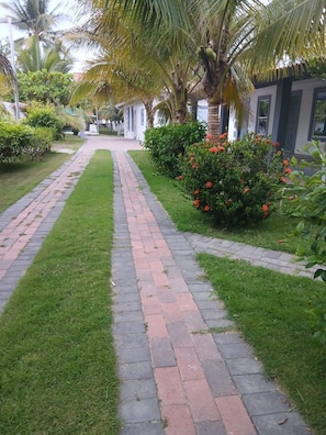 A paved pathway flanked by well-maintained grass and a flowering bush, leading to a building with a white facade and windows.