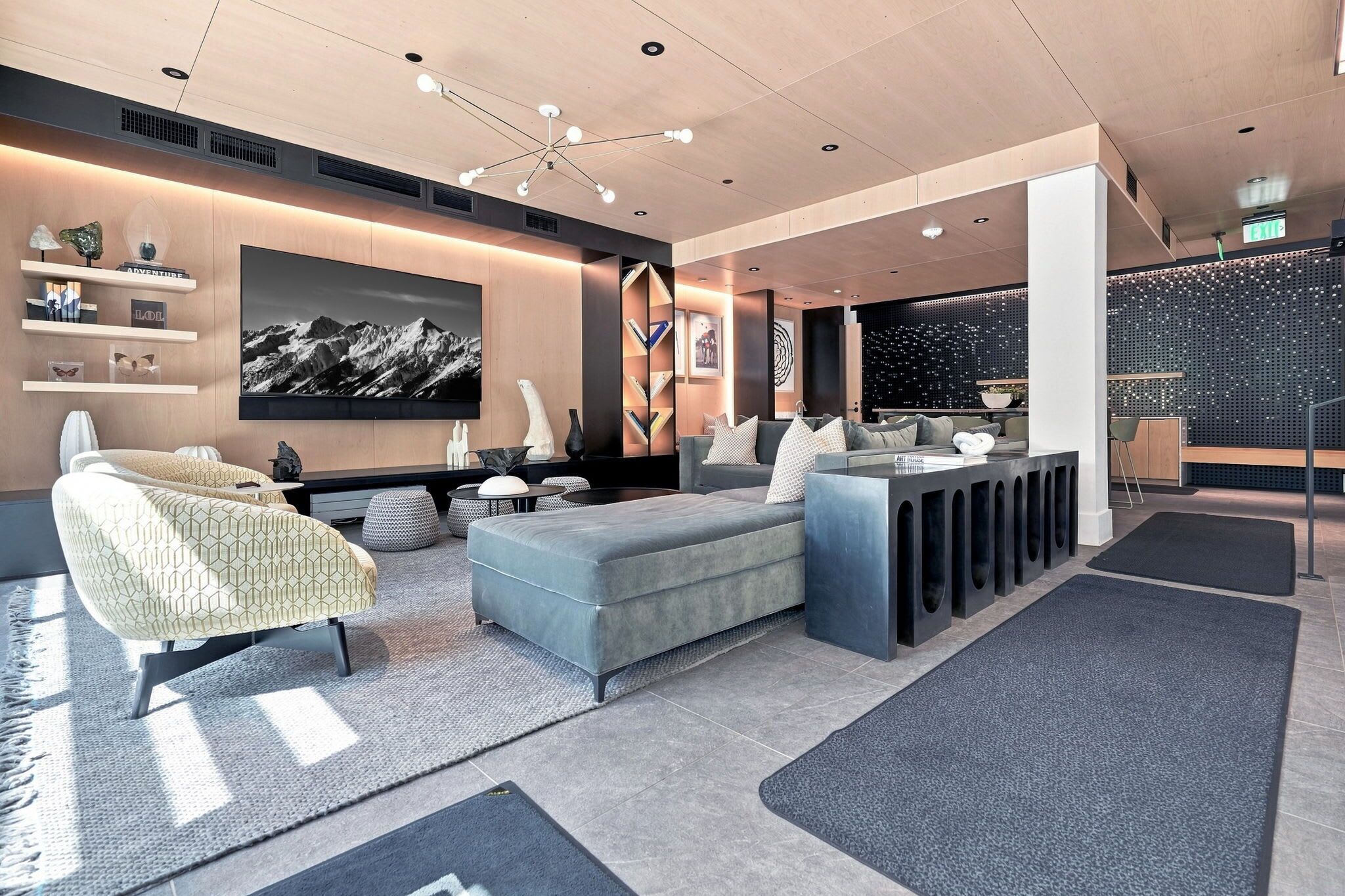 TV, fireplace, stereo, offices