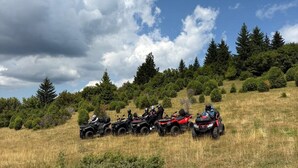 A group of all-terrain vehicles parked on a grassy field with trees in the background.