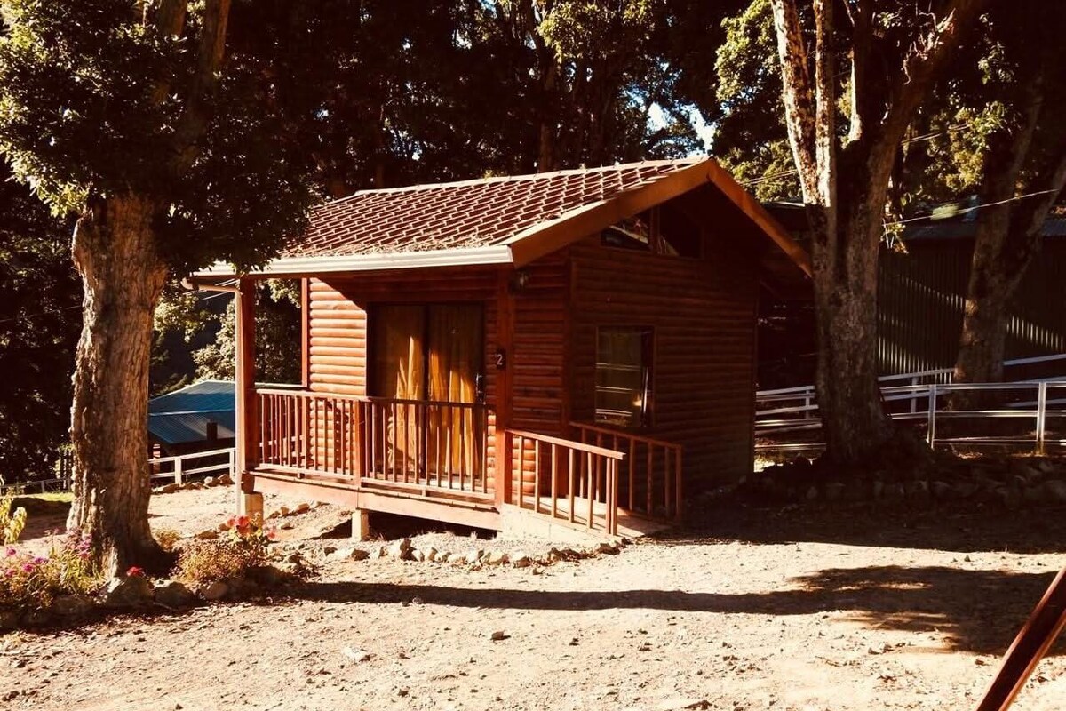 Basic Cabin, Balcony, Courtyard View | Desk, free WiFi