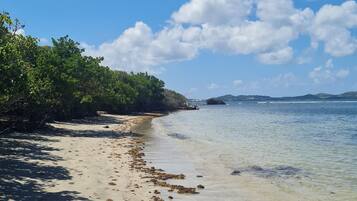 A beach with clear water, sandy shore, and green vegetation.