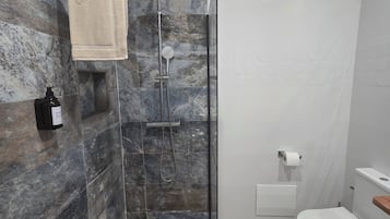 A modern bathroom with a glass-enclosed shower, a toilet, and a sink.