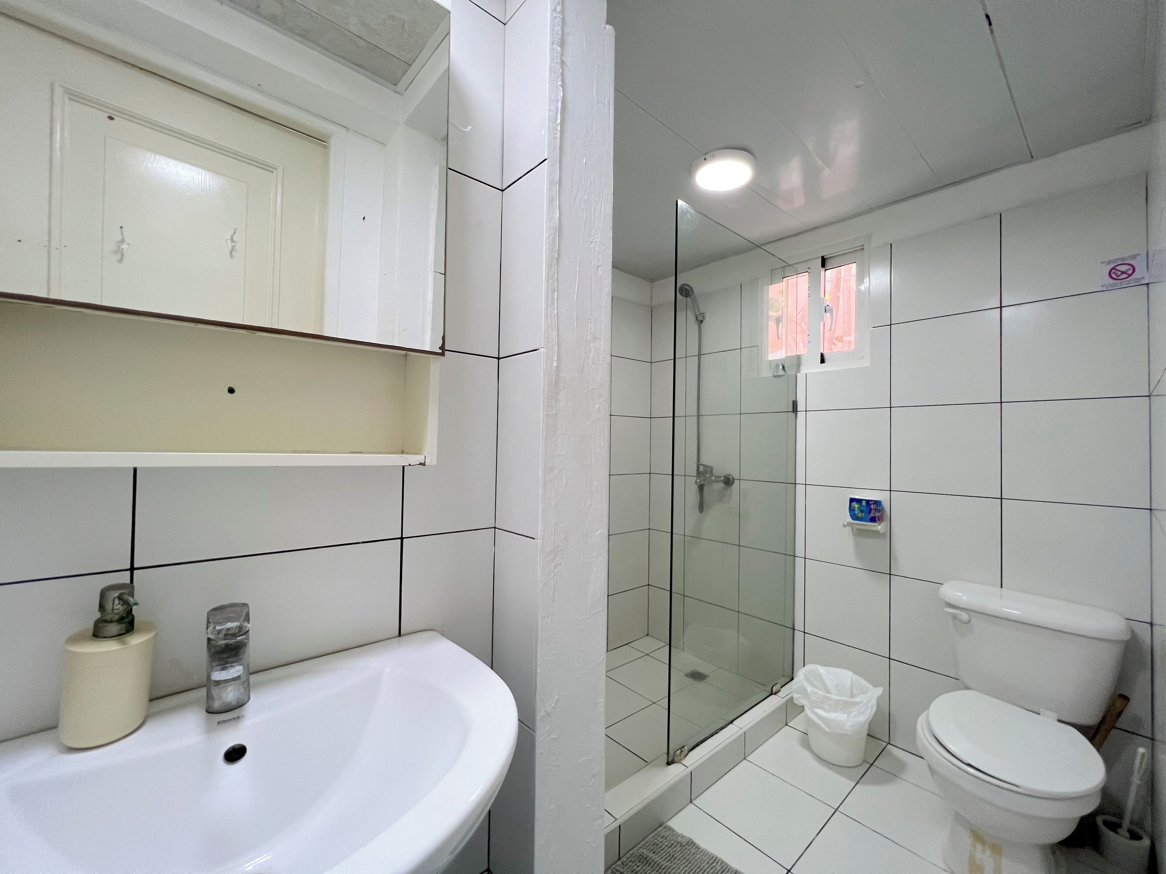 A bathroom with a white sink, a toilet, and a glass-enclosed shower area.
