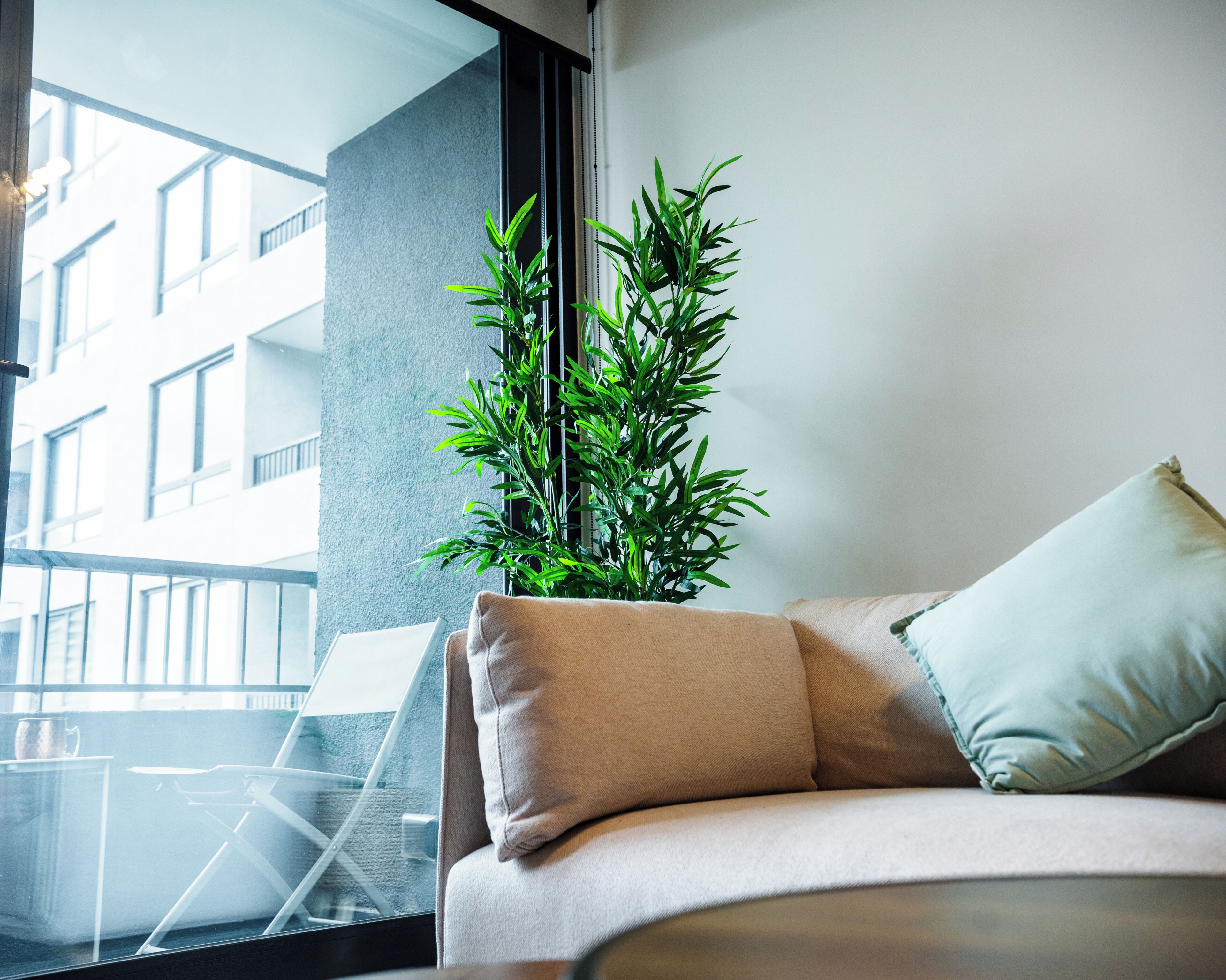 A modern living room with a sofa, a potted plant, and a view of a building through a window.