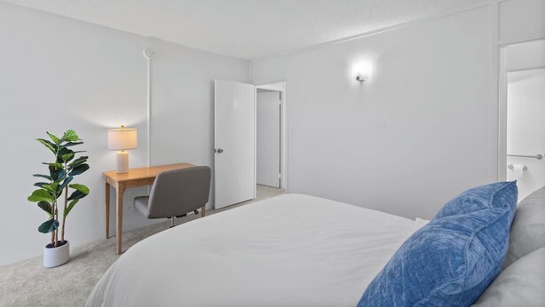Una habitación de hotel con cama, escritorio, silla, lámpara y planta en maceta.