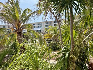 A lush tropical garden with palm trees and a building in the background.