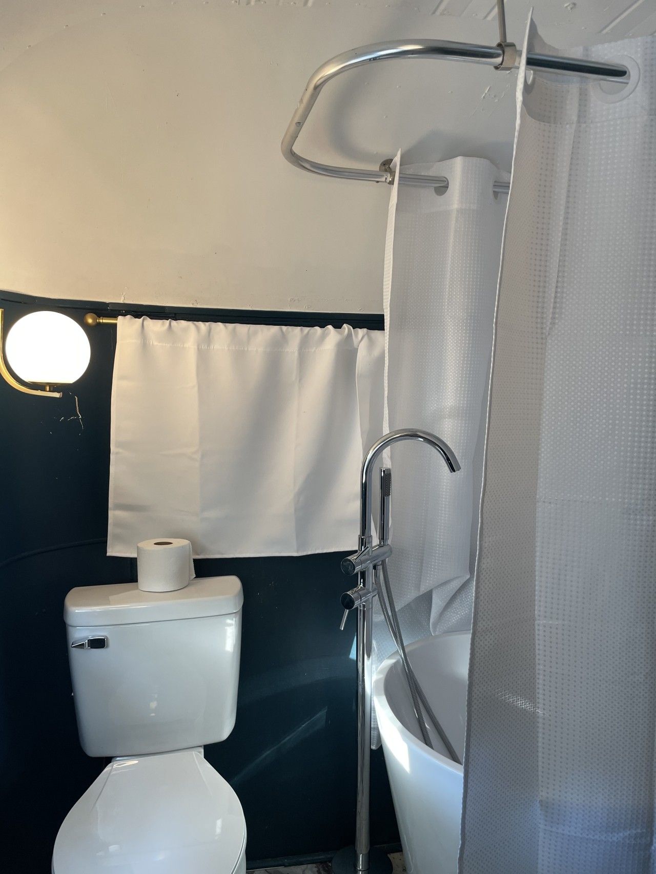 A bathroom with a toilet, a shower, and a curtain.