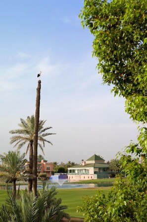 A tall palm tree with a bird perched on it, a building with a green roof, and a body of water with a fountain. - Le Pavillon Du Golf (Marrakech)
