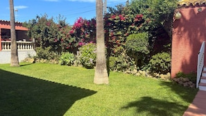 A well-maintained garden with a variety of plants and a clear sky.