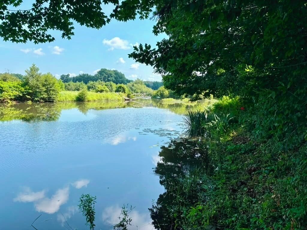 A calm river with dense greenery on both sides.