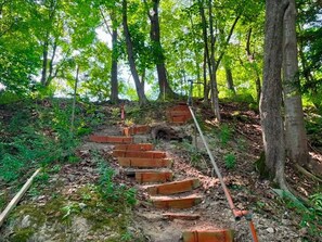 A wooden staircase in a forested area with trees and greenery.