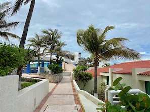 A pathway lined with palm trees and a building with blue doors.