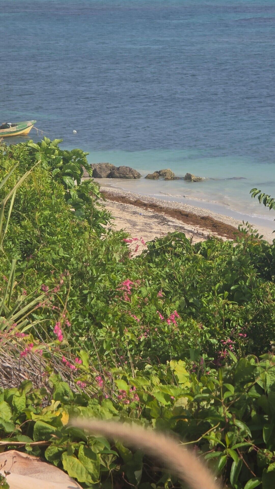 Ein Strand mit klarem Wasser, Felsen und dichtem Grün.