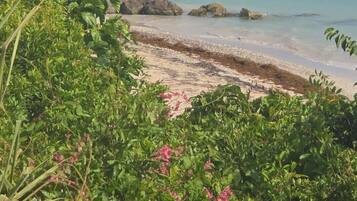 Ein Strand mit klarem Wasser, Felsen und dichtem Grün.