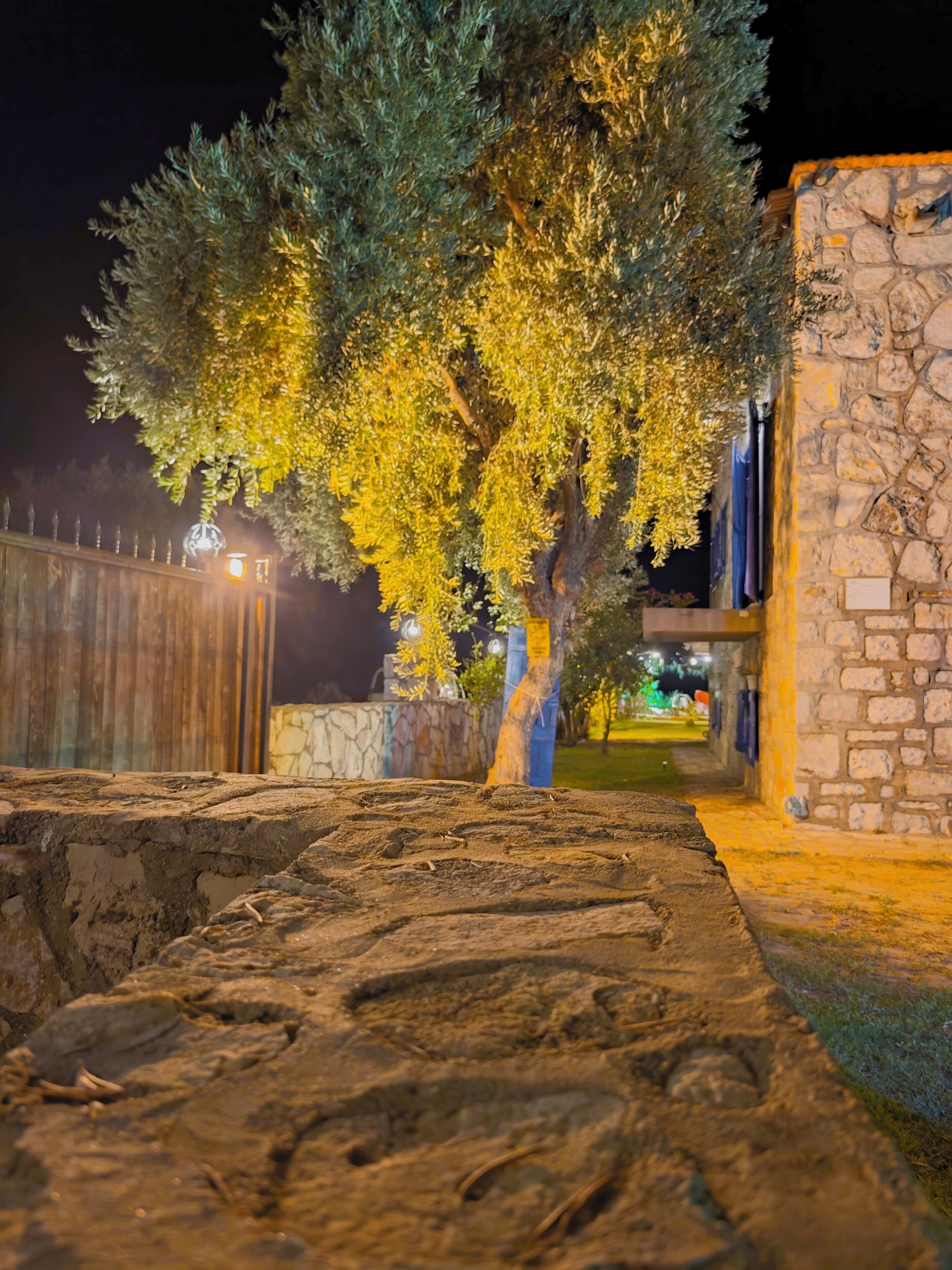 Ein Außenbereich bei Nacht mit Baum, Steinweg und einem Gebäude mit Steinmauern.