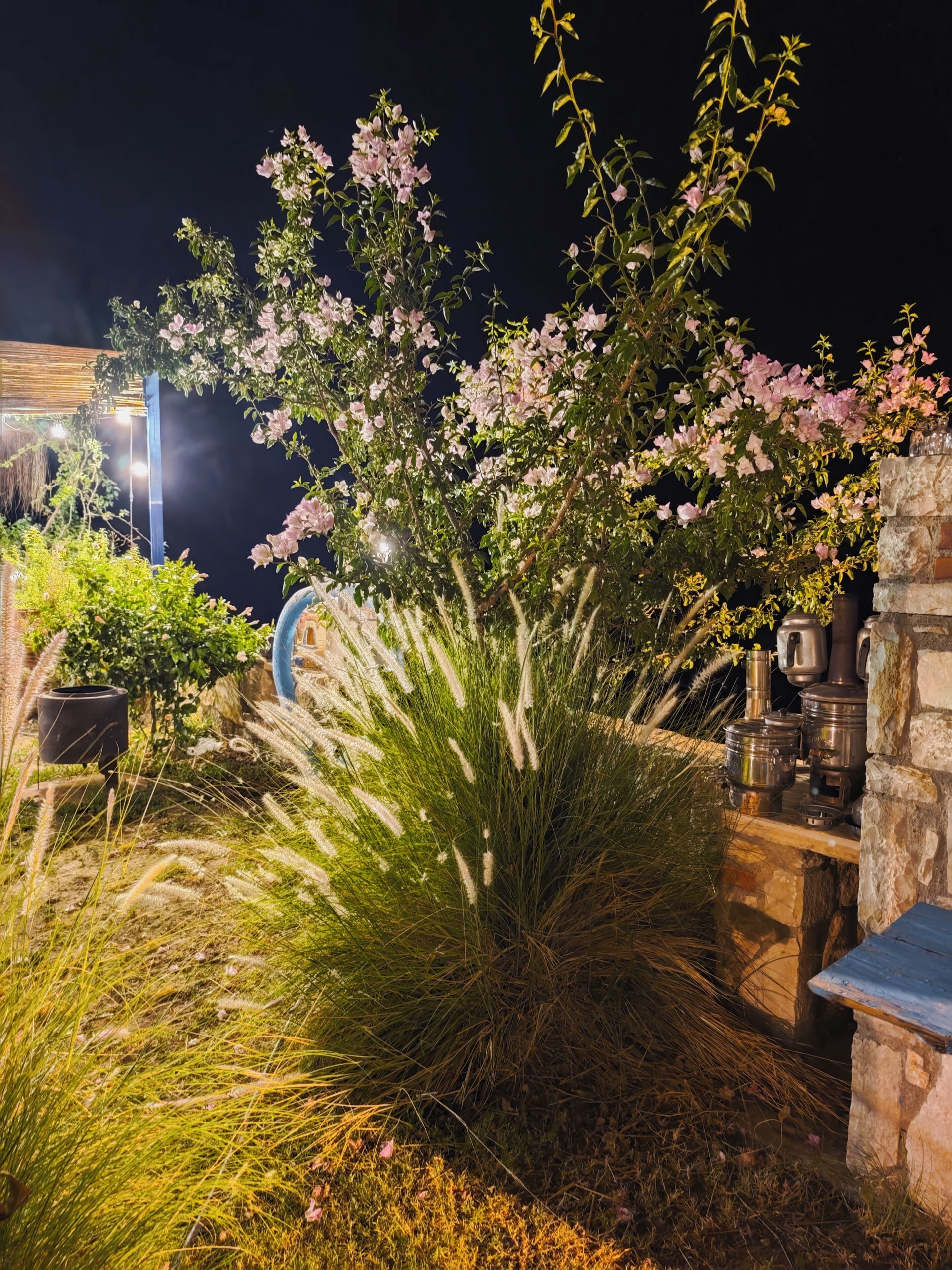Un jardín con plantas florecientes y una estructura de piedra.