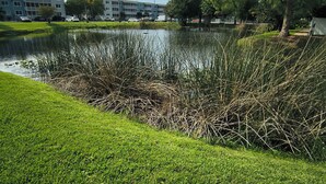 A grassy area with a pond, trees, and a building in the background. - Spacious 1 bedroom apartment in awesome Sarasota with swim pool and fitness room (Sarasota)