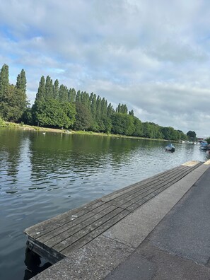Ein ruhiger See mit einem hölzernen Steg, der ins Wasser führt, umgeben von dichtem Baumbestand.