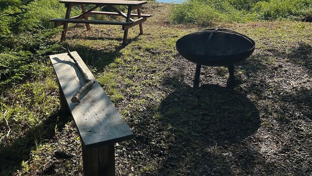 A picnic area with a table and a fire pit, overlooking a calm lake with a forested shoreline.