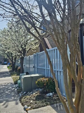 Eine Wohnstraße mit einer Baumreihe, einem blauen Zaun und einem Verteilerkasten.