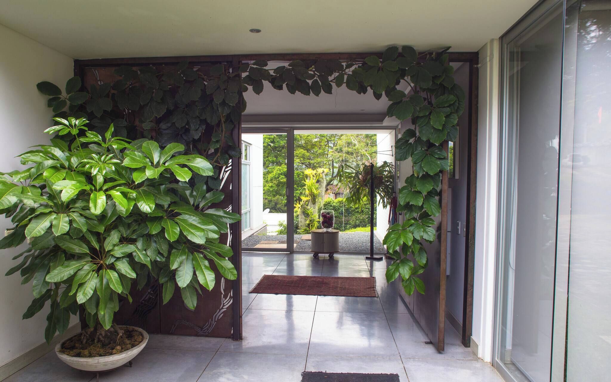 A hallway with a potted plant, a glass door leading outside, and a doormat.