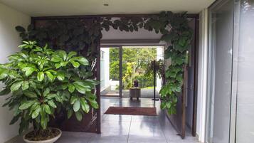 A hallway with a potted plant, a glass door leading outside, and a doormat.