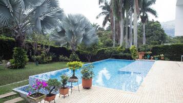 A swimming pool with tiled edges, surrounded by potted plants and palm trees.