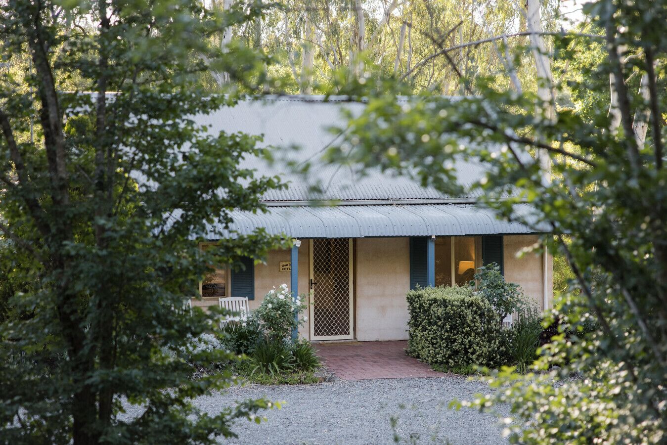 A rustic cabin with a metal roof, a wooden door, and a gravel pathway leading to it.