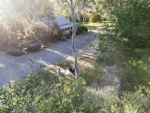 Una casa con entrada de grava, rodeada de vegetación y árboles densos.