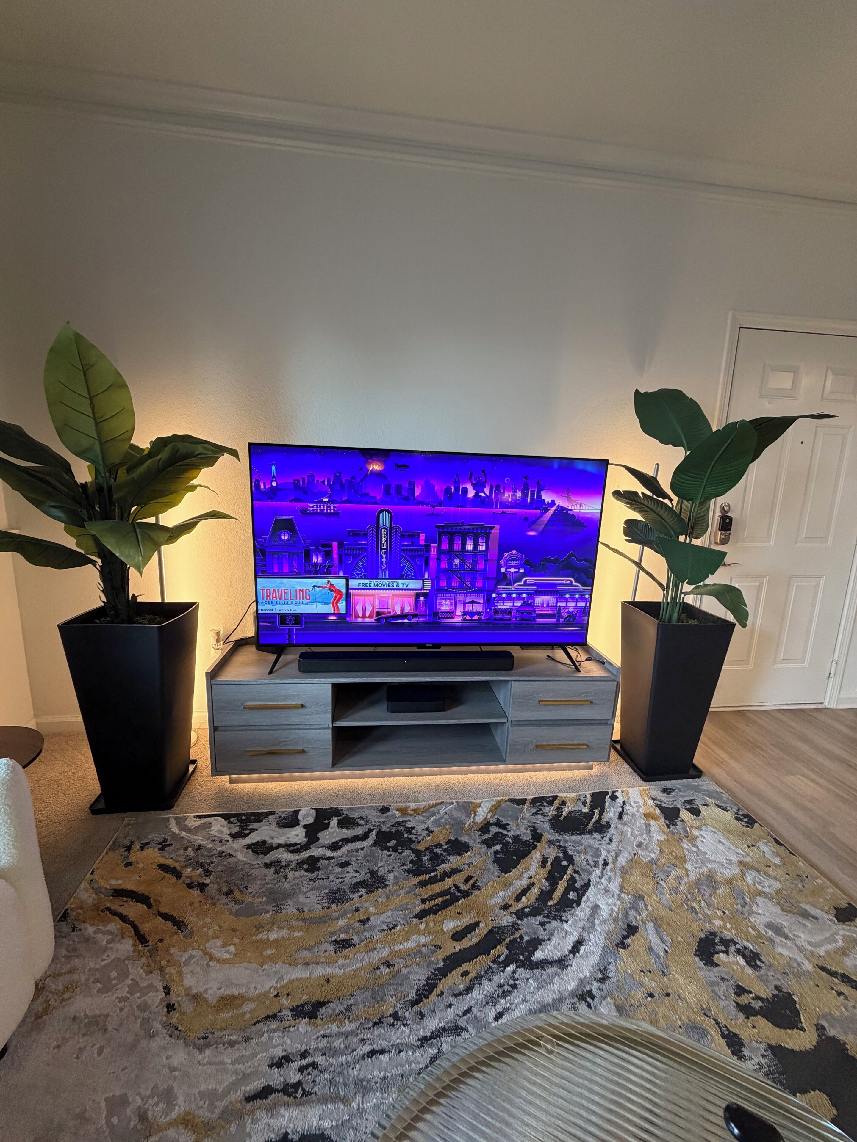 Un téléviseur à écran plat posé sur un meuble en bois, avec deux plantes en pot de chaque côté.