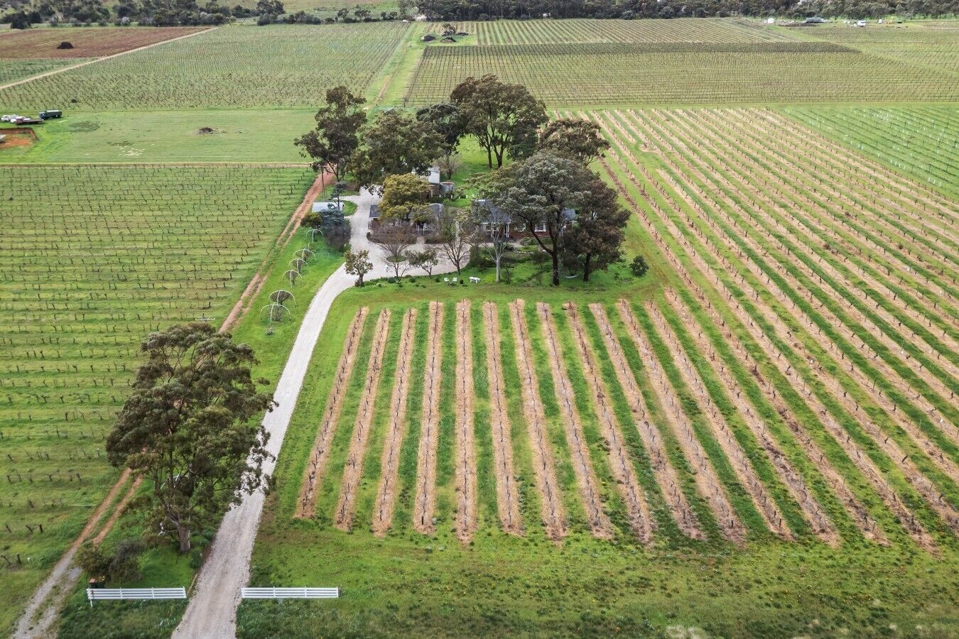 BarossaCottageRetreat
