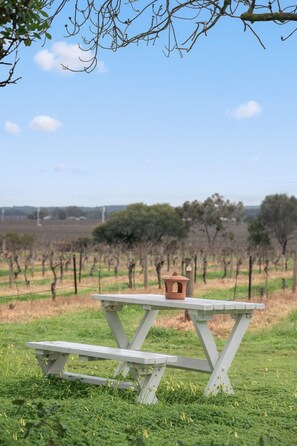 A picnic table with a small structure on top, surrounded by a grassy field with trees in the background. - Grace Cottage - Peaceful Vineyard Escape in the Barossa Valley (Penrice)