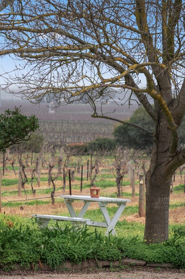 A picnic table with a lantern, surrounded by greenery and a vineyard in the background.