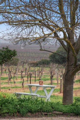 Spacious Four Bedroom Barossa Vineyard Escape
