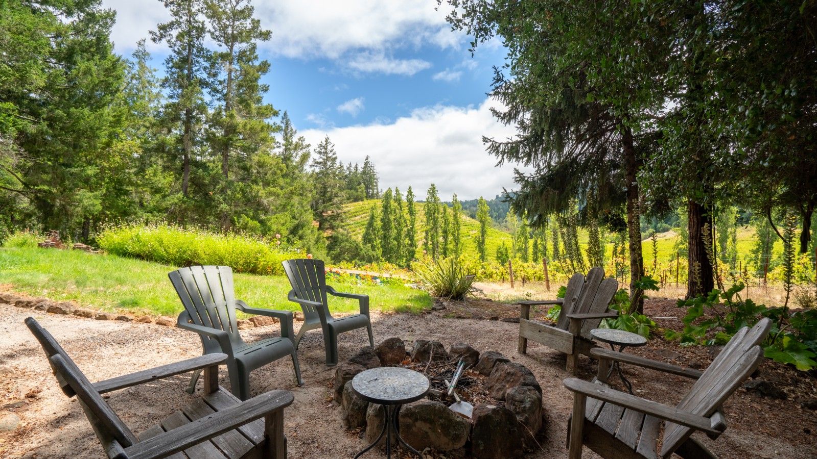 Ein Sitzbereich im Freien mit Adirondack-Stühlen um eine zentrale Feuerstelle, umgeben von einer natürlichen Landschaft mit Bäumen und einer hügeligen Kulisse.