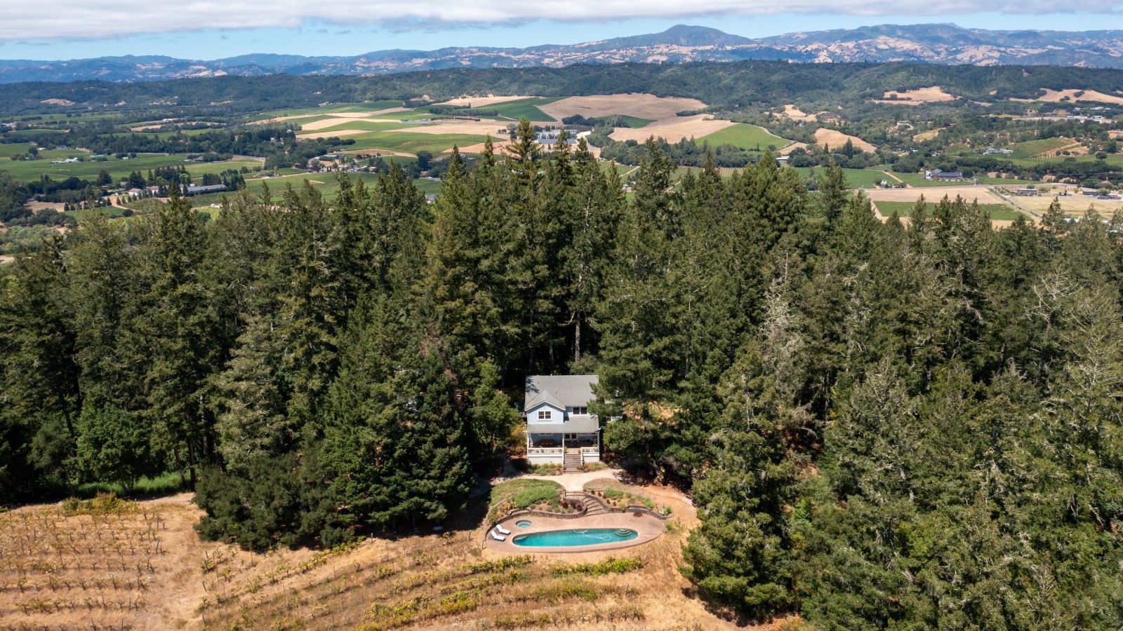 Une maison entourée d’une forêt dense, dotée d’une piscine et d’un court de tennis.