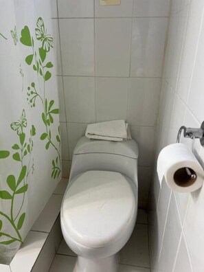 A standard toilet with a white seat and lid, a roll of toilet paper on the wall, and a wall with green leaf patterns. - Hotel Casa Paraíso Republica (Santiago)