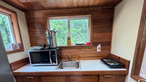 A compact kitchen with wooden cabinets, a microwave, a sink, and a window overlooking greenery.