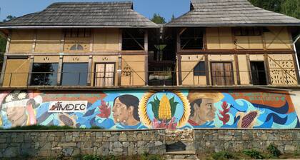 Eco-friendly, bio-built cabin in the forest