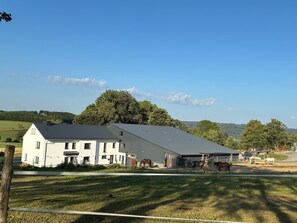 Exterior - Vrbo Property (Bad Berleburg)