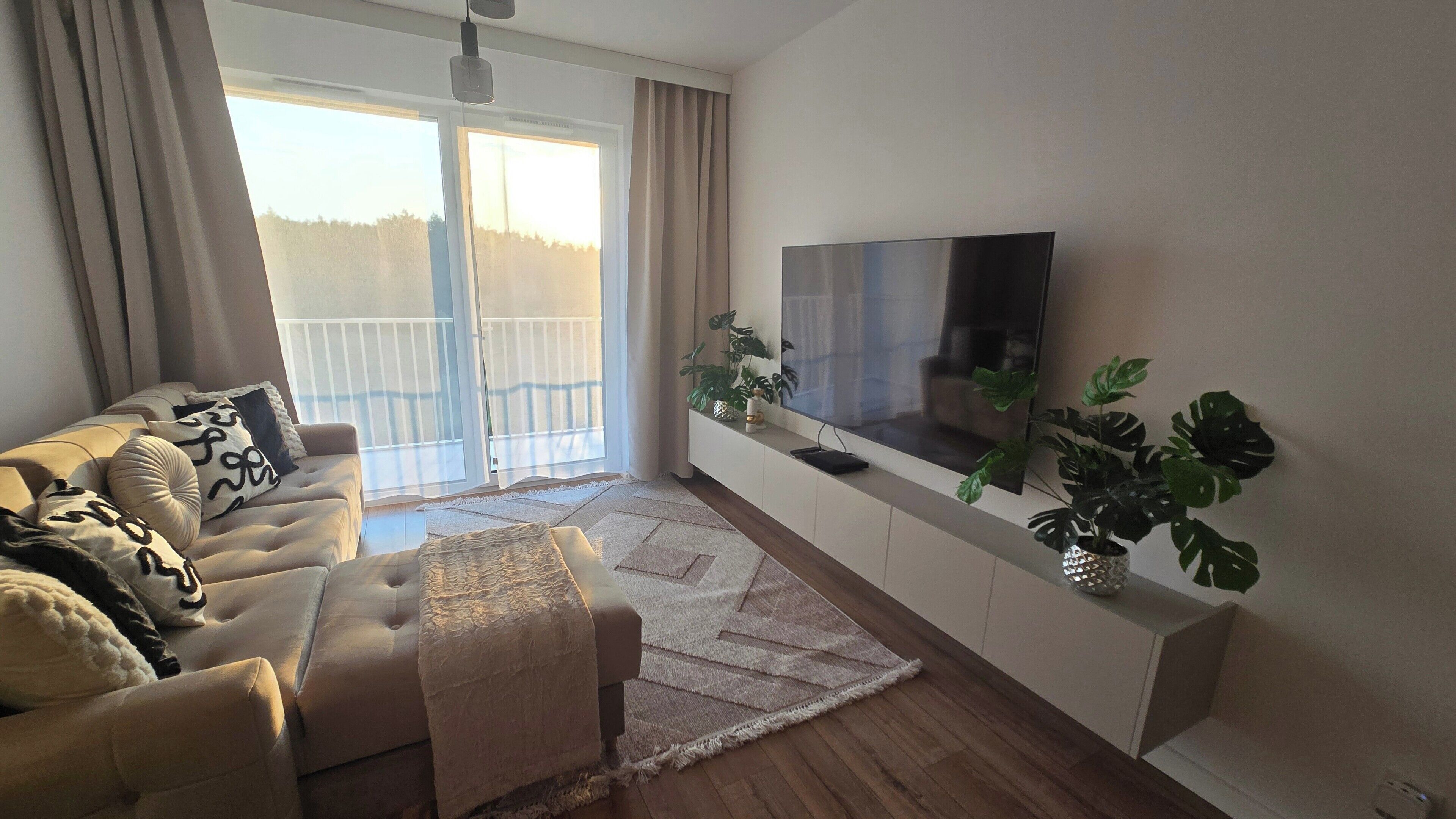 Televisor 