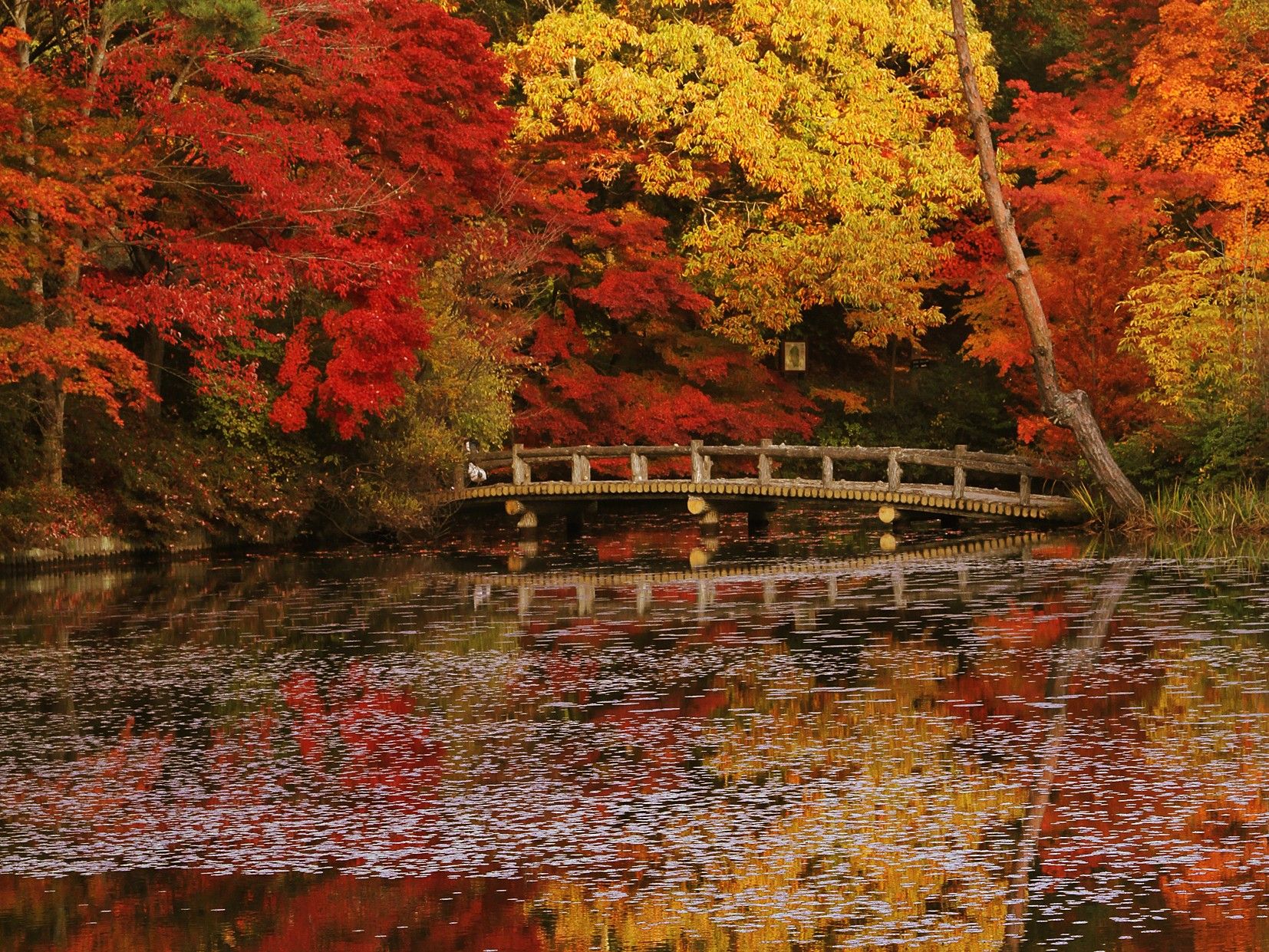 A wooden bridge over a calm body of water surrounded by trees with autumn foliage.