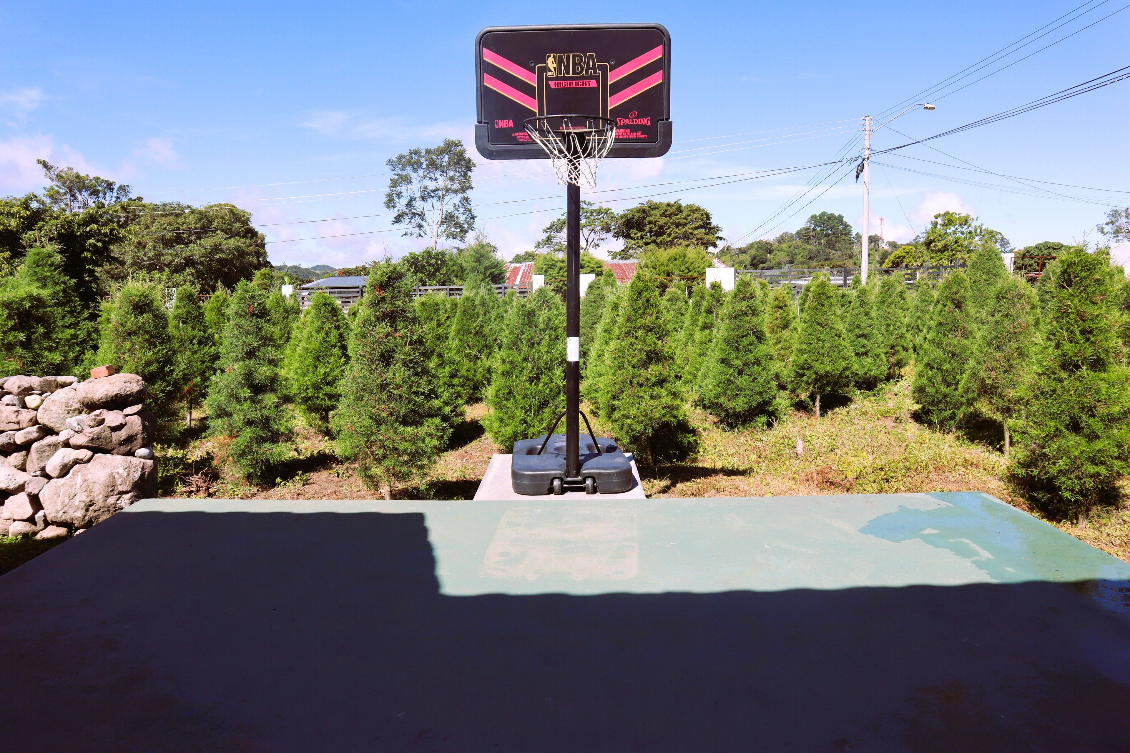 Un aro de baloncesto con red, sobre un fondo de árboles y un muro de piedra.