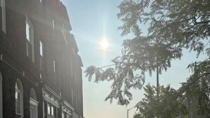 A street with a sidewalk, parked cars, and buildings with large windows. - Massive Downtown Penn Station apt with parking (Baltimore)