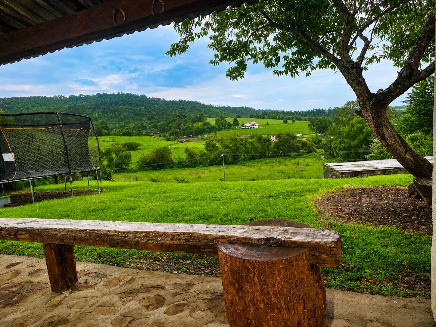 A rustic outdoor seating area with a bench, a metal grill, and a tree.