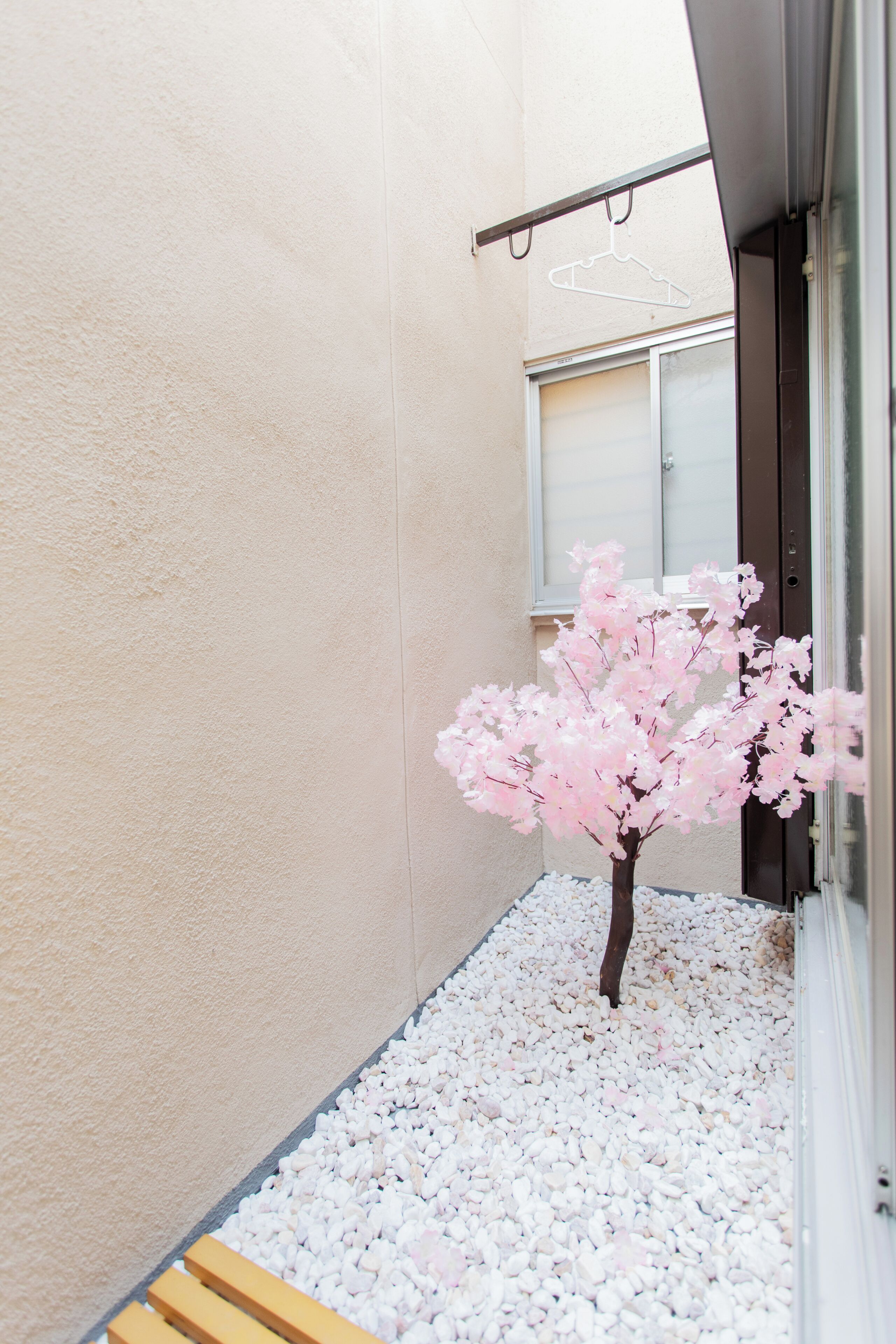 A small tree with pink blossoms in a courtyard with white pebbles.
