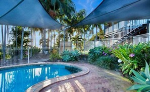 A swimming pool with a curved edge, surrounded by a brick pathway and tropical plants. - Summit House - Elevated Family Retreat (Mackay)
