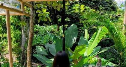 Excelsum Tayrona