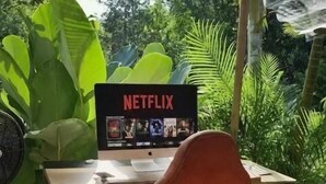 Un espacio de trabajo con una computadora, un cartel de Netflix y una silla en un ambiente similar a un invernadero.